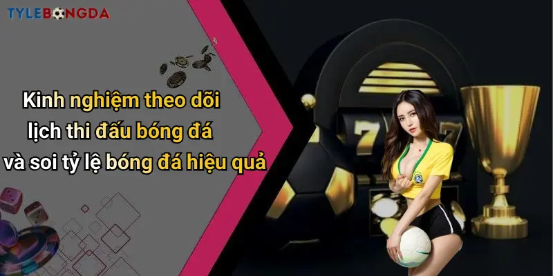 Kinh nghiệm theo dõi lịch thi đấu bóng đá và soi tỷ lệ bóng đá hiệu quả