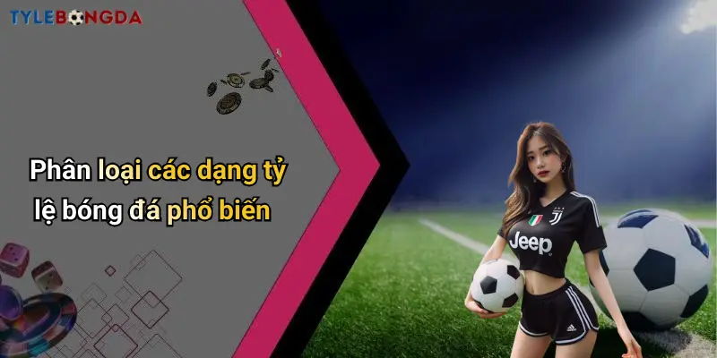 Phân loại các dạng tỷ lệ bóng đá phổ biến