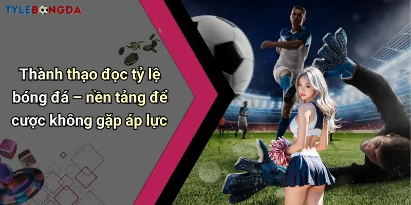 Thành thạo đọc tỷ lệ bóng đá – nền tảng để cược không gặp áp lực