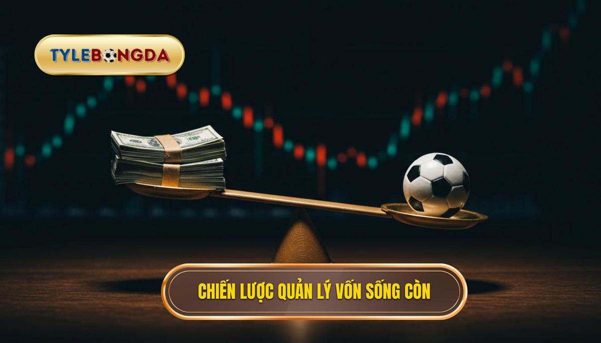 Chiến Lược Quản Lý Vốn (Money Management)_ Yếu Tố Quyết Định Sống Còn