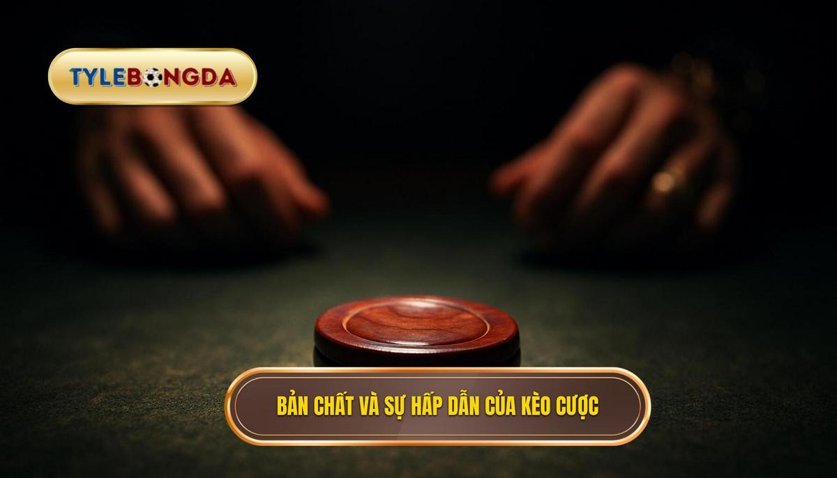 Bản Chất Và Sự Hấp Dẫn Của Kèo Cược Tổng Số Lần Sút Bóng Trúng Cột Dọc