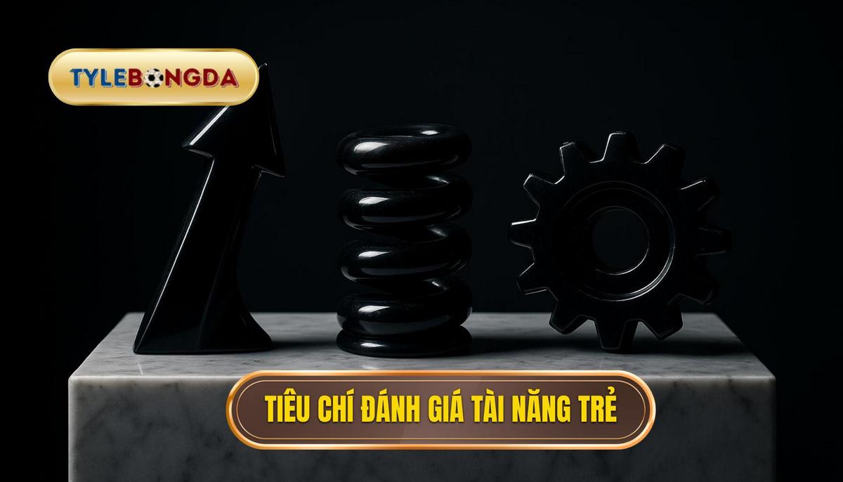 Tiêu chí đánh giá một tài năng trẻ hàng đầu