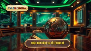 Những thuật ngữ cá độ cần biết